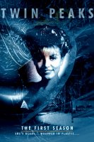 Tvin Pykso miestelis 1 Sezonas