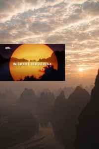 Nepažinti Indokinijos kampeliai