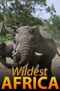 Paslaptingoji Afrika