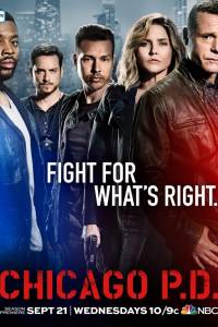 Čikagos policija 4 Sezonas