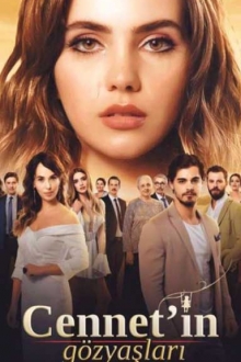 Meilės simfonija 1 sezonas