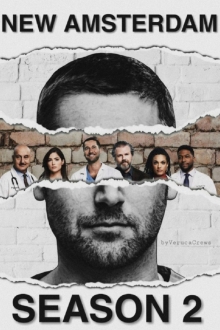 Naujasis Amsterdamas 2 sezonas