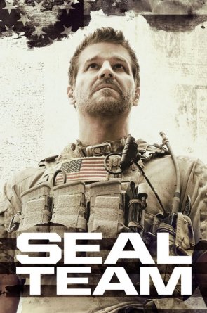 Ruonių komanda 4 sezonas